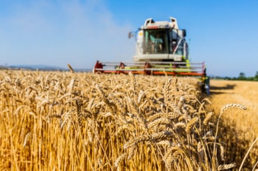How AI Can Aid the Agriculture Sector