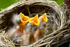 Six in 10 Enterprises Fail to Take IoT Beyond the Pilot Stage