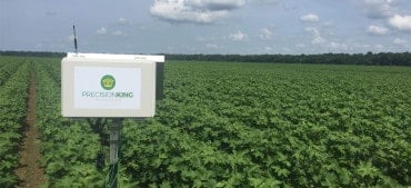 Case Study: Rice Farmers Use IoT to Save Water and Carbon Emissions