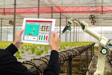 5 Ways Big Data Is Revolutionizing the Agricultural Sector