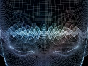 Researchers Surpass Speech Recognition Methods With Help From Honey Bees