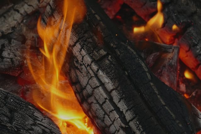 AI Used to Prevent Californian  Wildfires