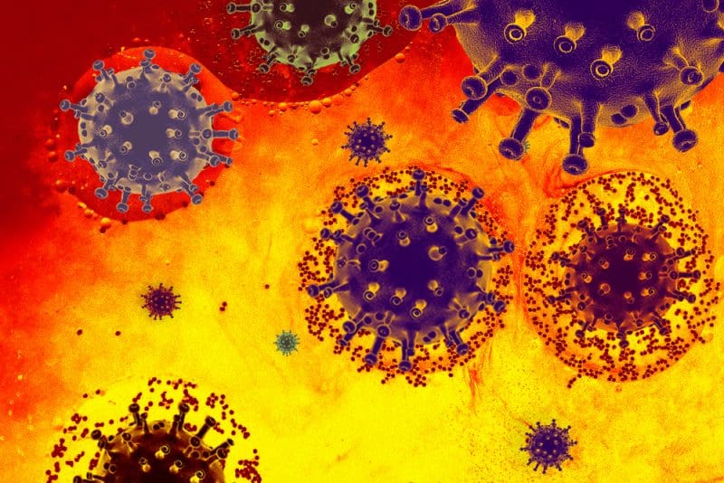 NLP Technique Helps Predict Coronavirus Mutations