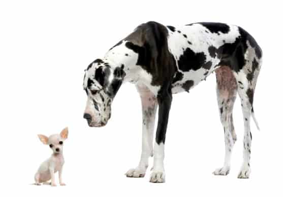 A Return to Small Data for 2021