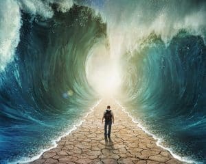 COVID-19 Data Tsunami Ushers in Unprecedented Opportunities