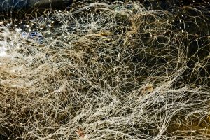 Data Fabric vs. Data Mesh: Key Differences and Similarities