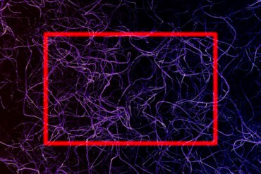 New Optical Neural Network Filters Info Before Processing
