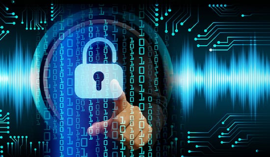 Businesses Favor Security Solutions From Innovators