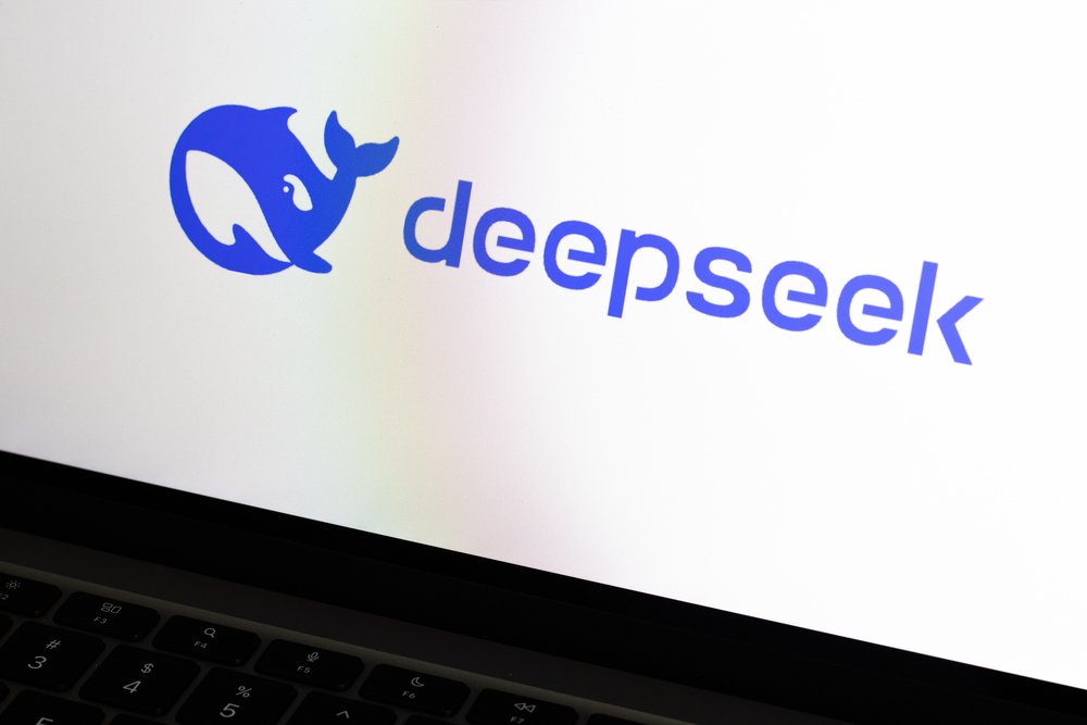 Exploring the DeepSeek Conundrum